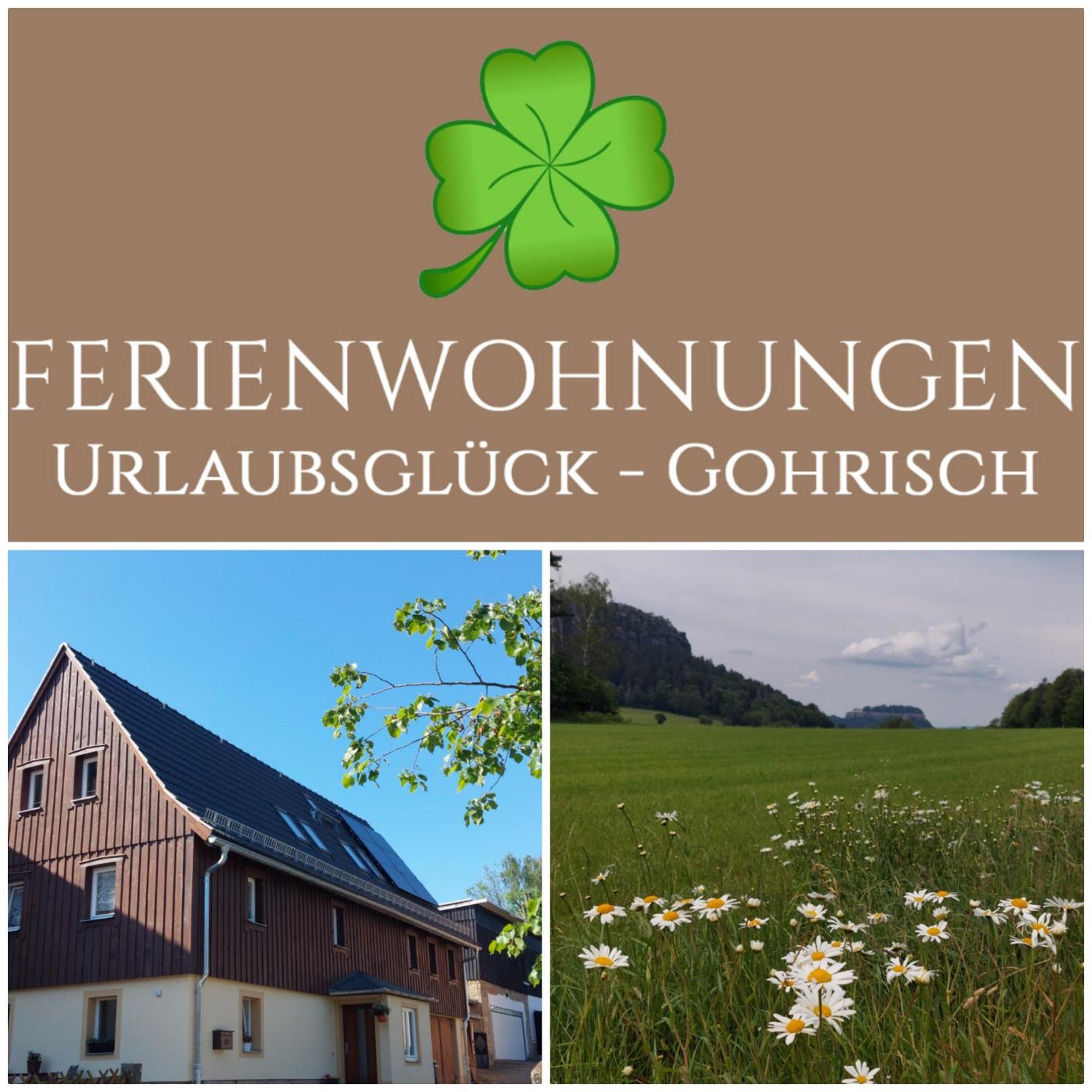 Ferienwohnungen Urlaubsglueck Kurort Gohrisch Exterior foto